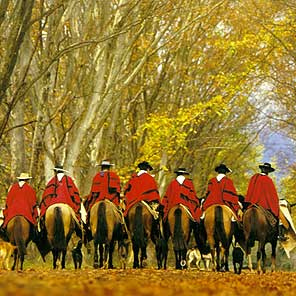 Traditions: the gaucho